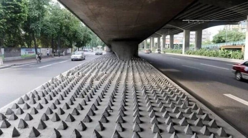 40 selected images for a little distraction