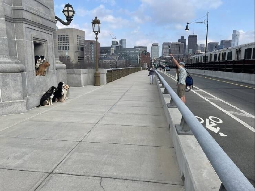 40 selected images for a little distraction