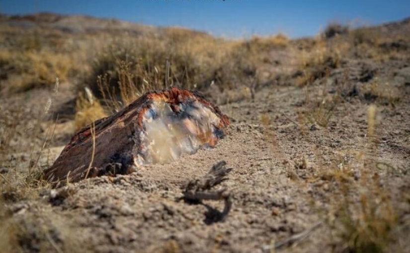 40 selected images for a little distraction