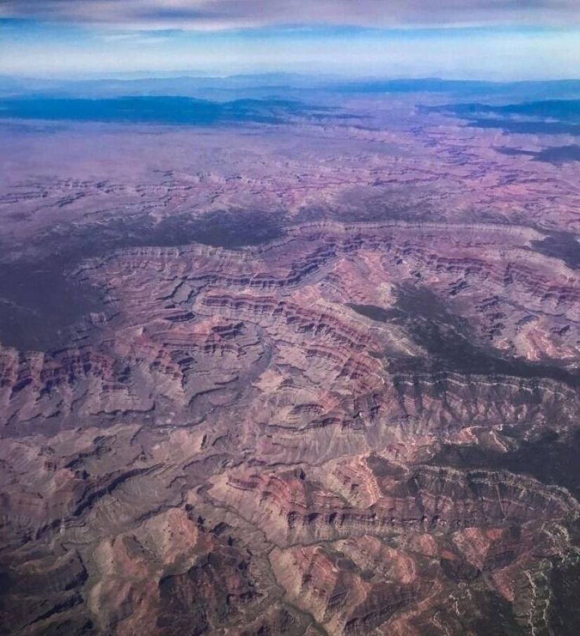 40 selected images for a little distraction