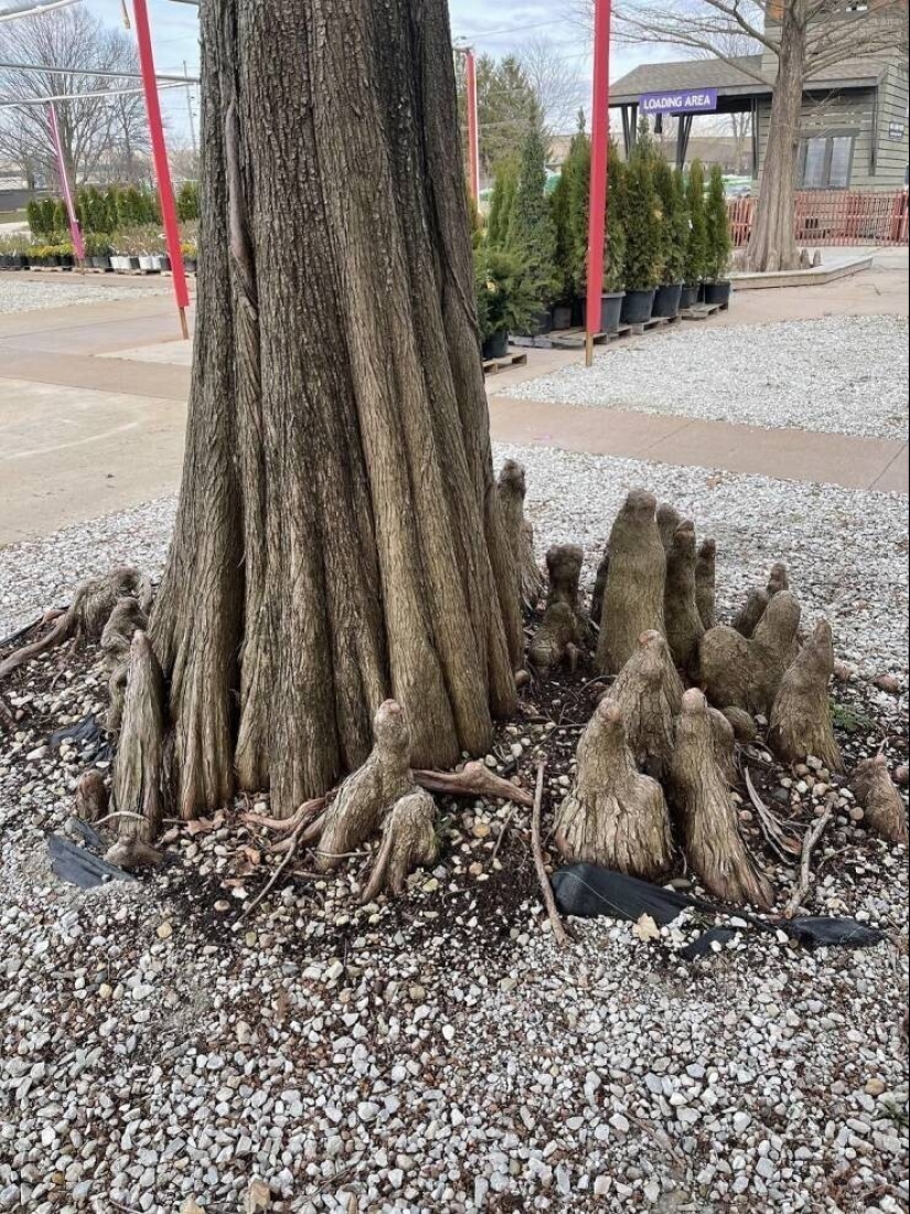 40 selected images for a little distraction