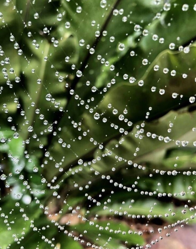 40 selected images for a little distraction