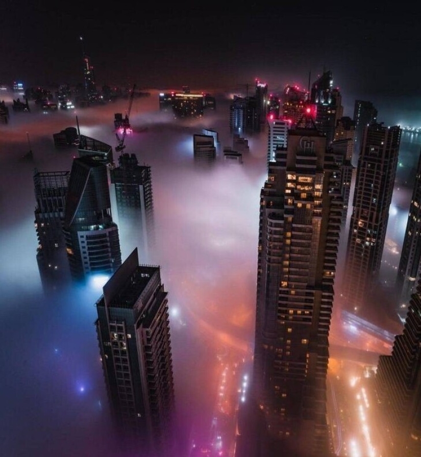 40 selected images for a little distraction