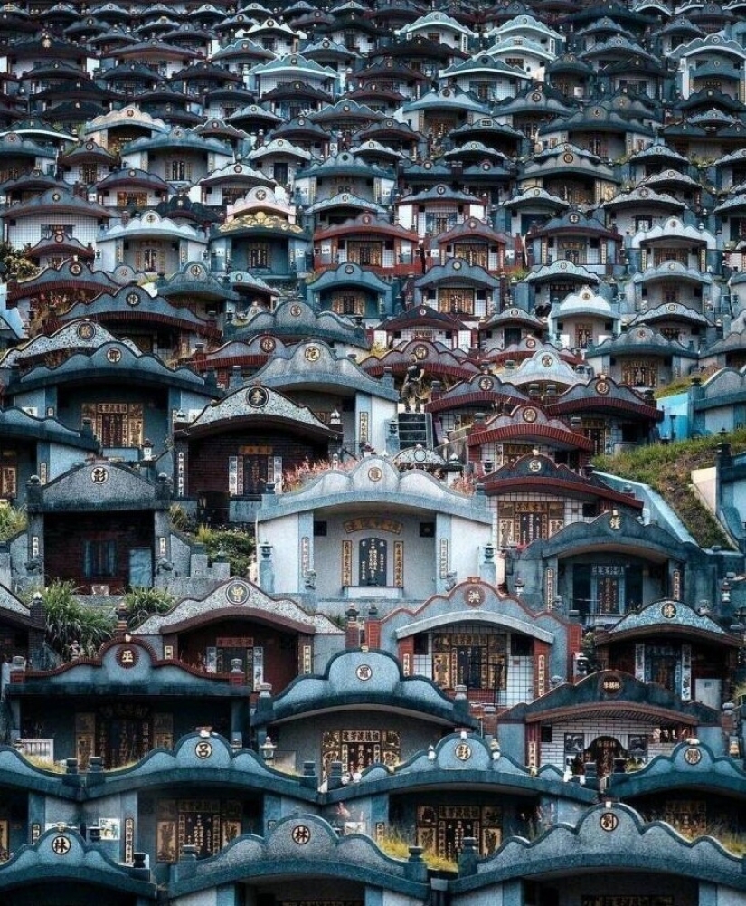 40 selected images for a little distraction