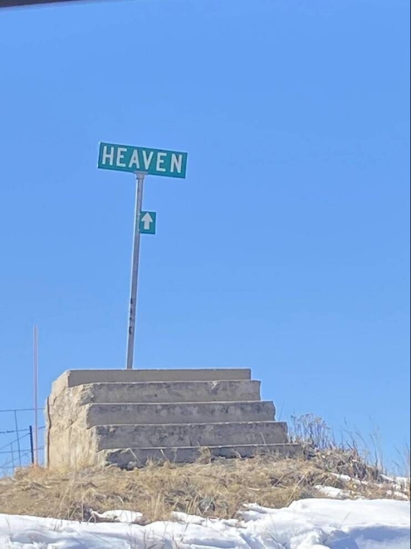 40 selected images for a little distraction