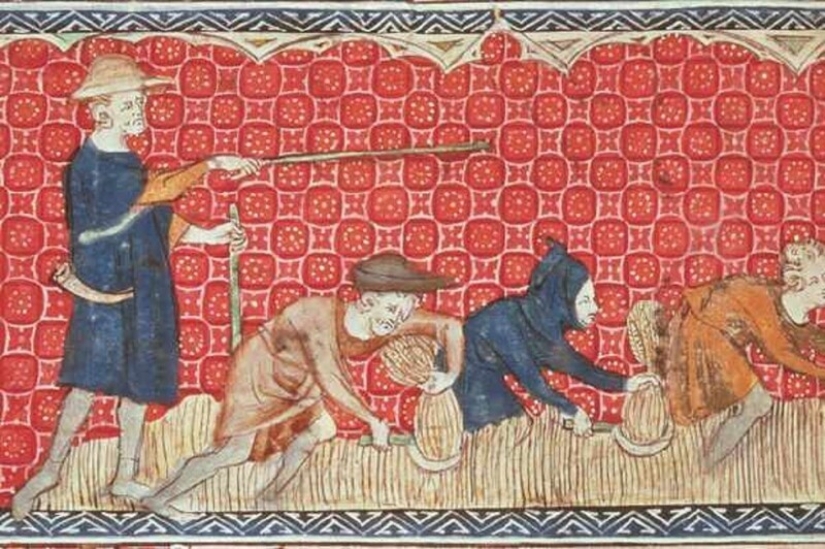 5 conceptos erróneos sobre la Edad Media que todo el mundo cree por alguna razón 5 conceptos erróneos sobre la Edad Media que todo el mundo cree por alguna razón