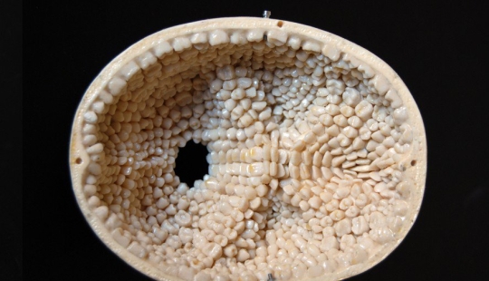 5 Creepy Stories that will Awaken Your Strangest Fears 5 Creepy Stories that will Awaken Your Strangest Fears