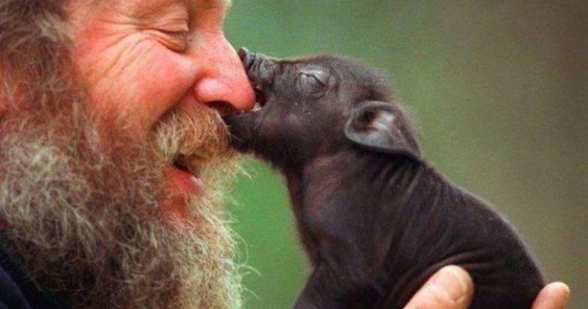 5 facts about vegans that you might not know