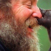 5 facts about vegans that you might not know