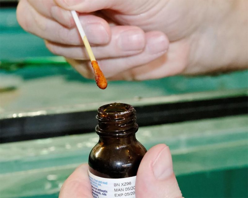 5 "old wives" therapies, which are actually hazardous to health 5 "old wives" therapies, which are actually hazardous to health