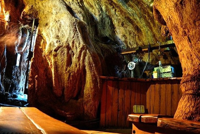 5 unusual structures in giant trees