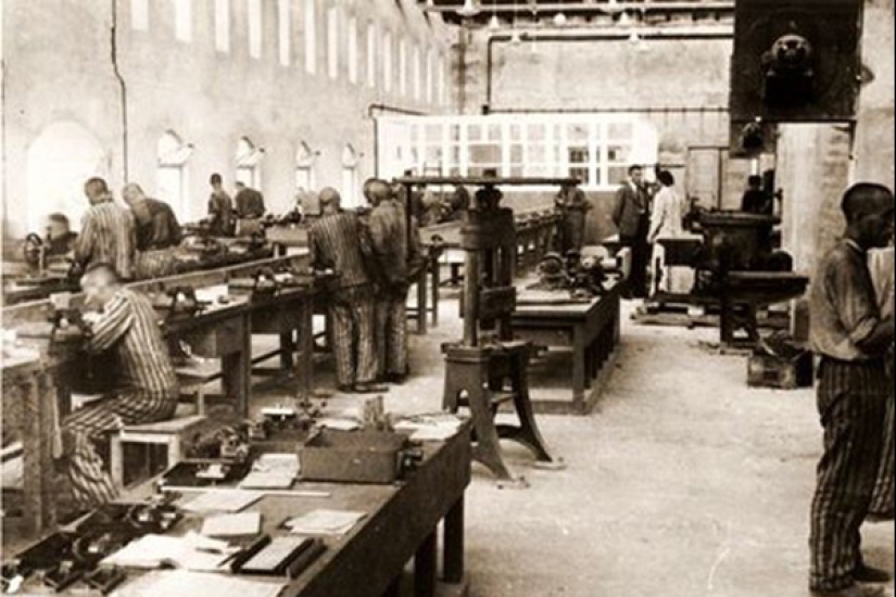 5 world-famous brands that collaborated with the Nazis