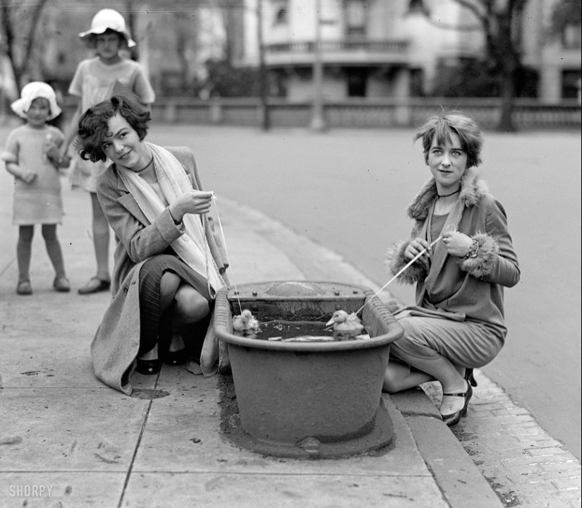 50 Amazing Historical Photos You've Never Seen Before 50 Amazing Historical Photos You've Never Seen Before