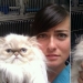 50 cats who just realized that they were brought to the vet