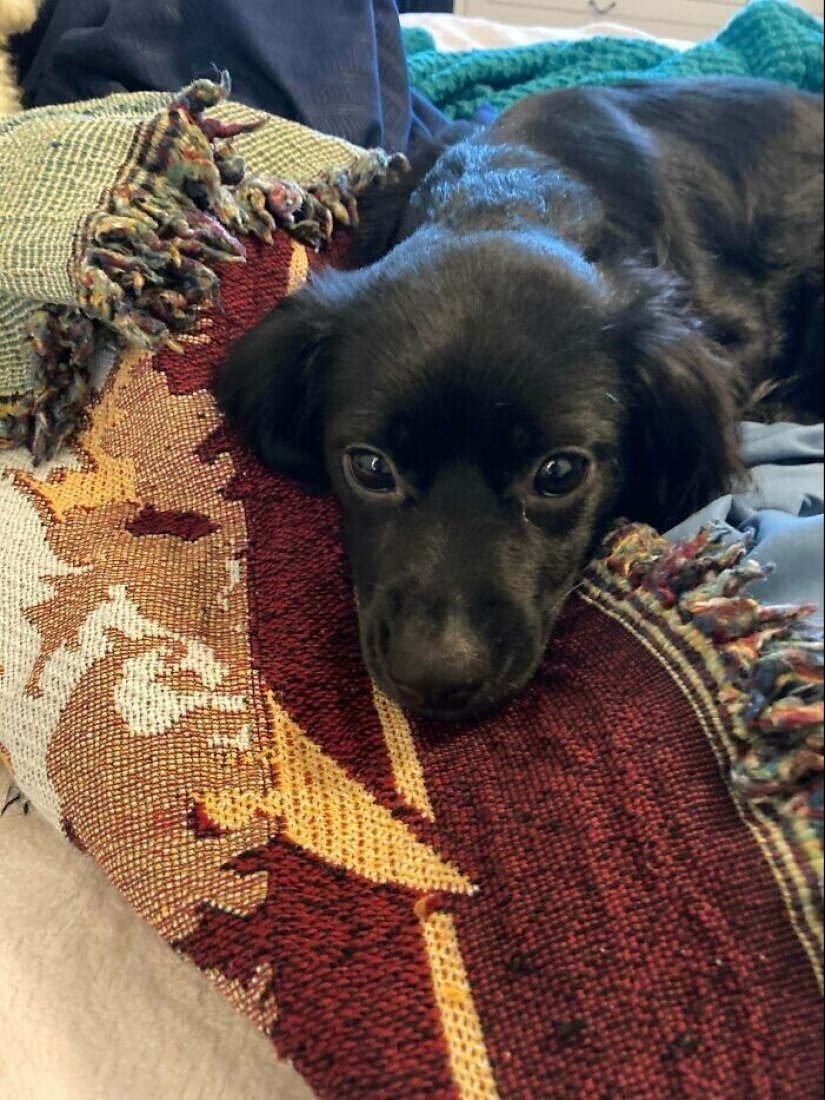 50 cosas geniales que se encuentran en un vertedero