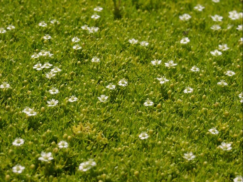 50 ejemplos de fotografía creativa