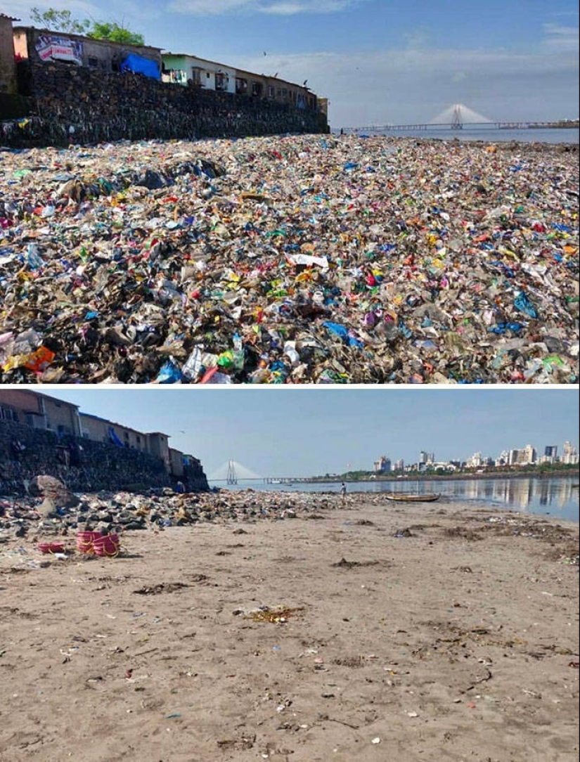 50 ejemplos de lo fascinante, inusual y diverso que es nuestro mundo