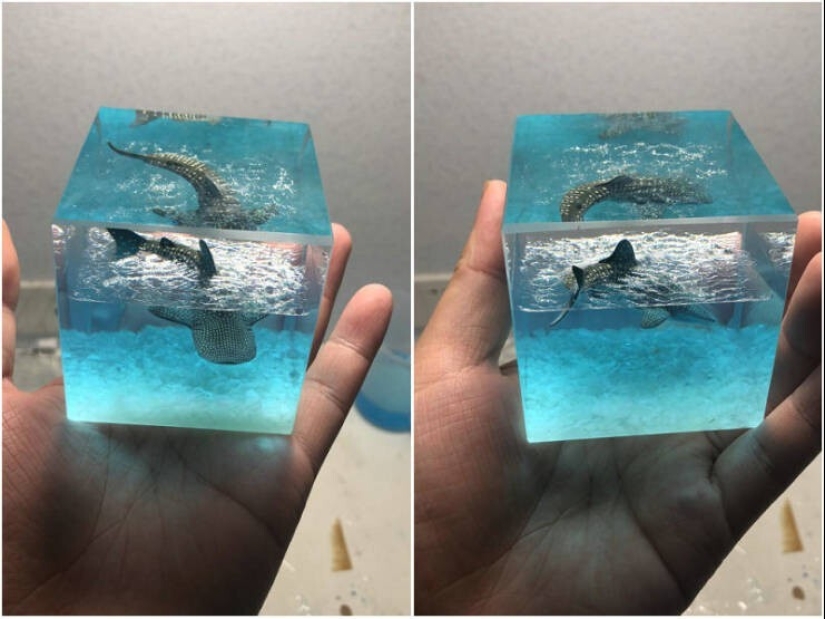 50 examples of how fascinating, unusual and diverse our world is