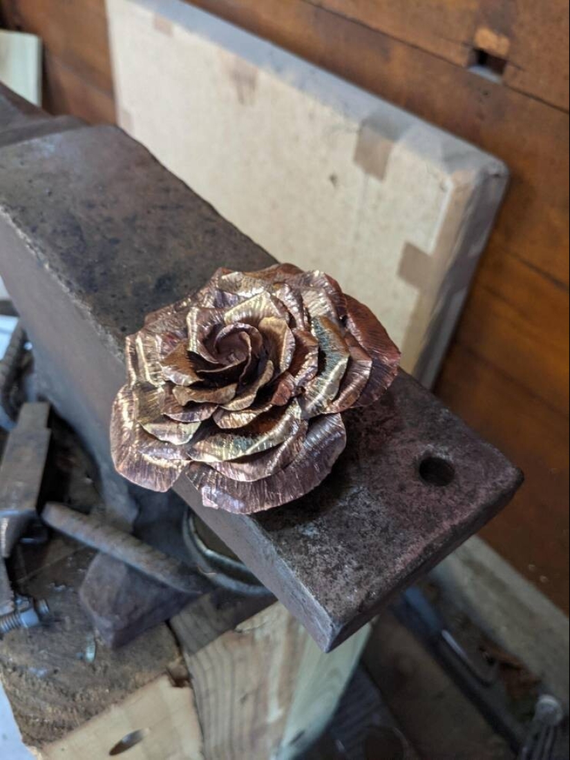 50 examples of how fascinating, unusual and diverse our world is