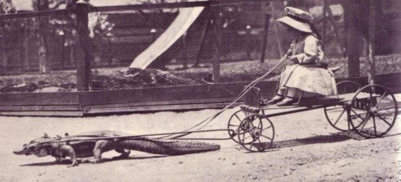 50 increíbles fotografías históricas que nunca antes habías visto