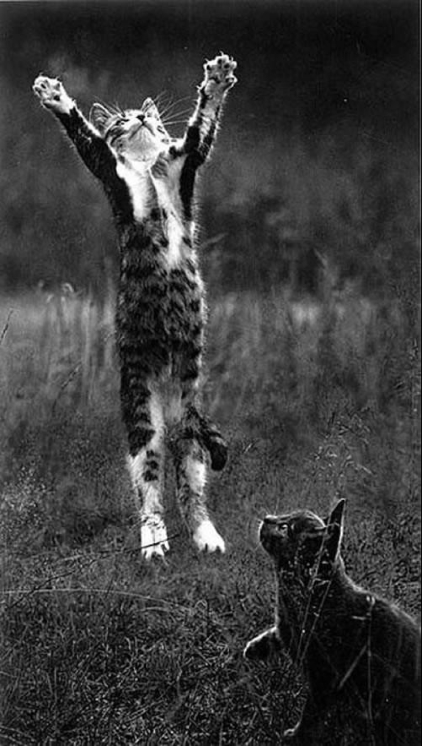 50 maravillosas imágenes en blanco y negro de los maestros de la fotografía