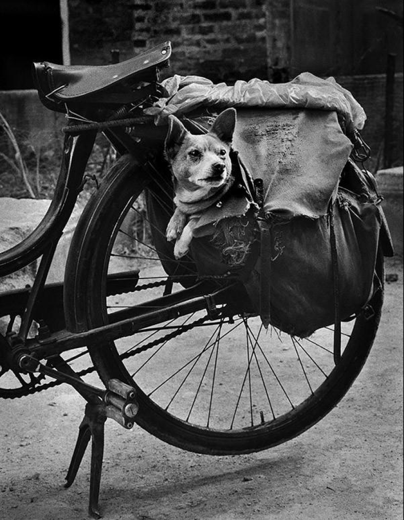 50 maravillosas imágenes en blanco y negro de los maestros de la fotografía