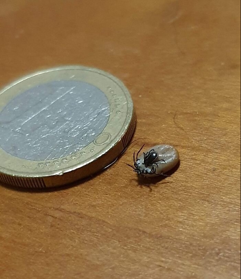 50 misterioso ejemplos de cuando la Madre naturaleza adormecida por el horror