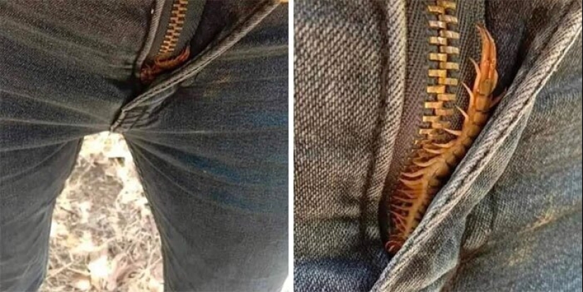 50 misterioso ejemplos de cuando la Madre naturaleza adormecida por el horror