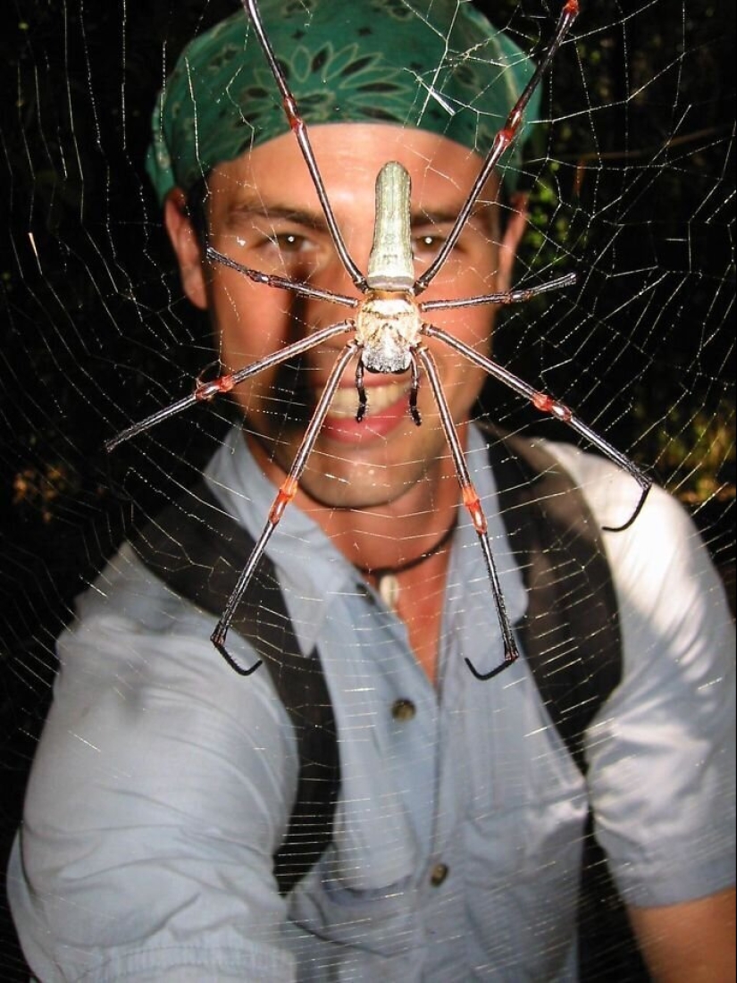 50 misterioso ejemplos de cuando la Madre naturaleza adormecida por el horror