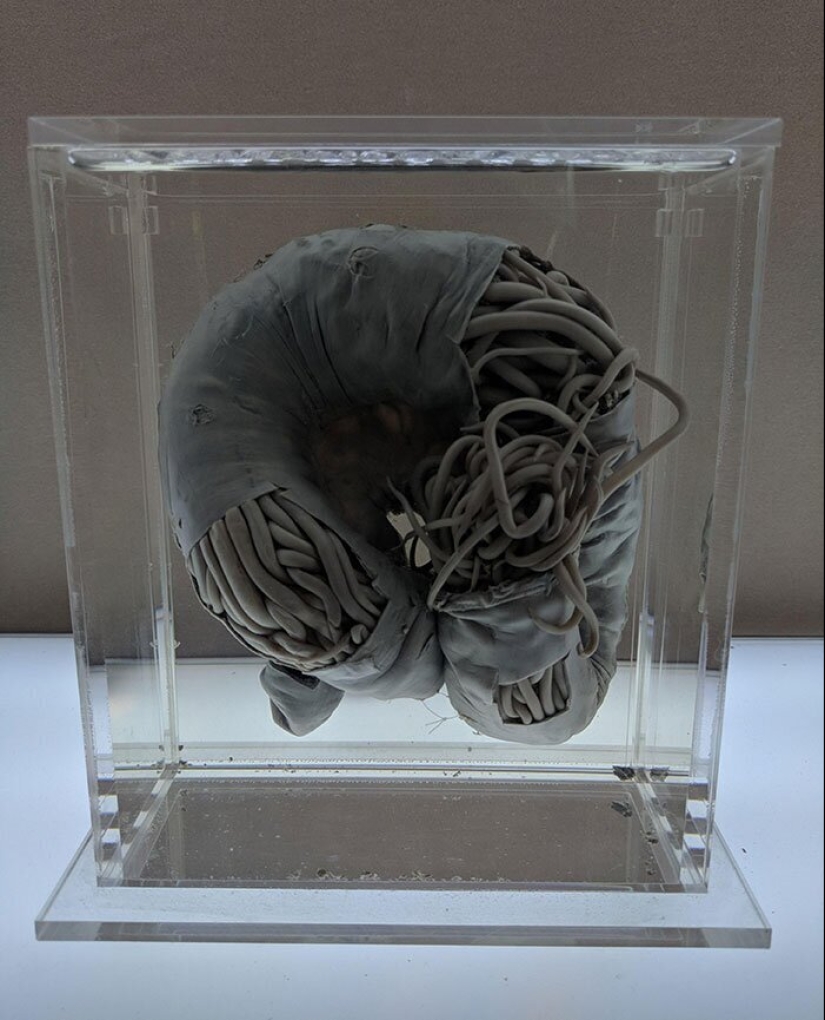 50 misterioso ejemplos de cuando la Madre naturaleza adormecida por el horror