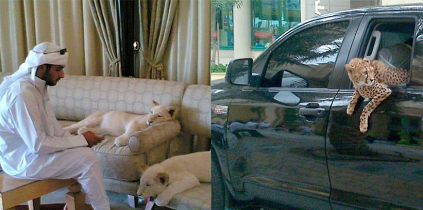 50 photos of Dubai, the most insane city on earth 50 photos of Dubai, the most insane city on earth