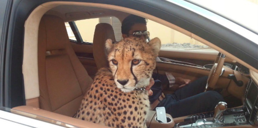 50 photos of Dubai, the most insane city on earth 50 photos of Dubai, the most insane city on earth