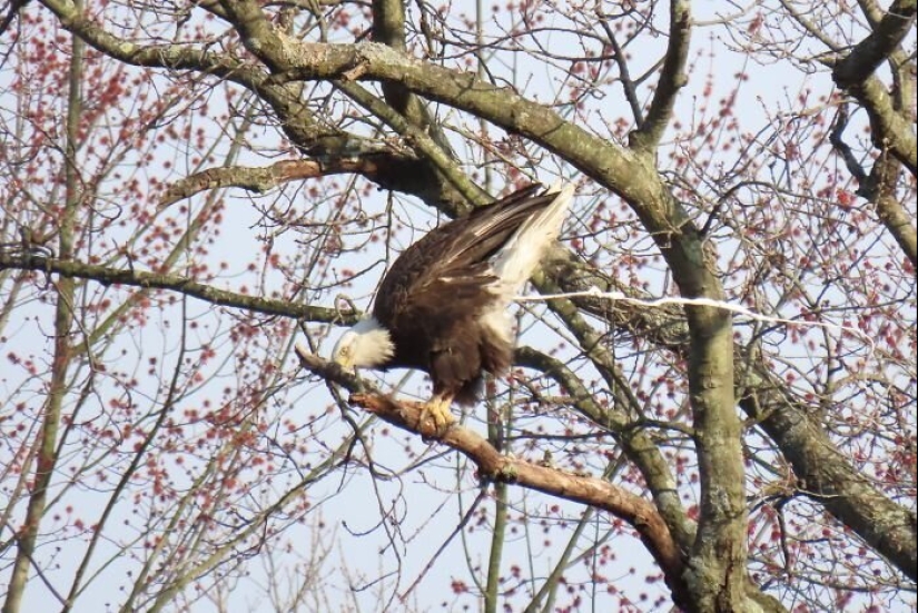50 silly, ridiculous, indecent pictures of animals 50 silly, ridiculous, indecent pictures of animals