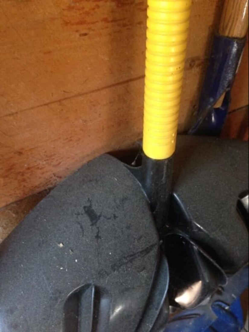 50 silly, ridiculous, indecent pictures of animals 50 silly, ridiculous, indecent pictures of animals