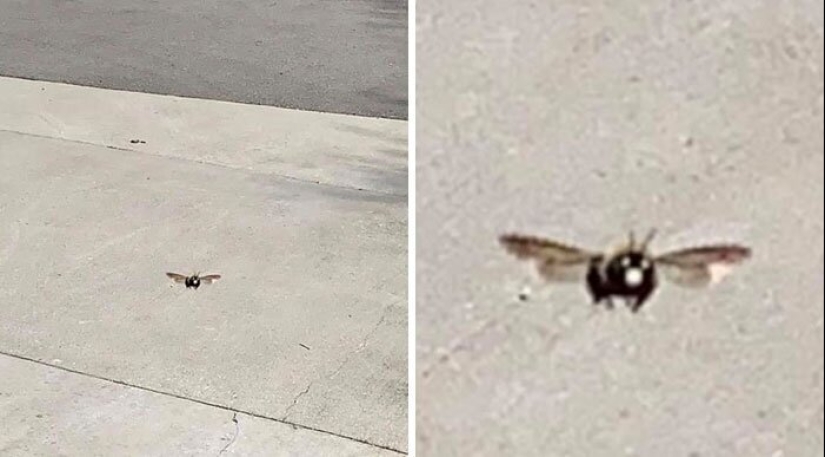 50 silly, ridiculous, indecent pictures of animals 50 silly, ridiculous, indecent pictures of animals