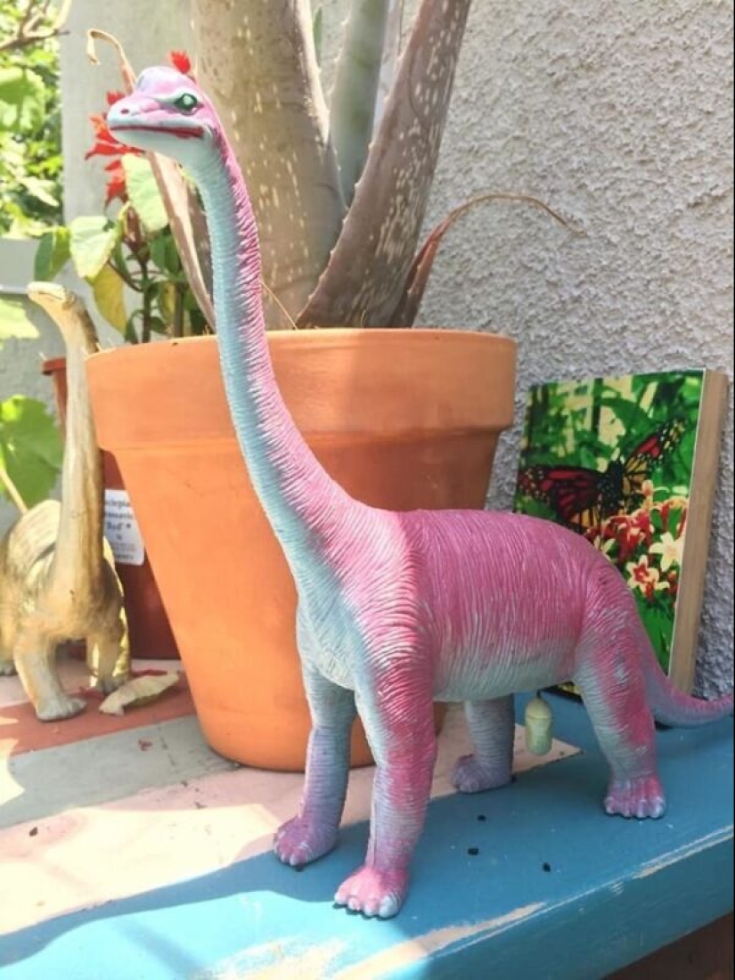 50 silly, ridiculous, indecent pictures of animals 50 silly, ridiculous, indecent pictures of animals