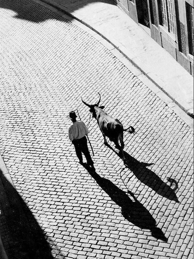 50 wonderful black-and-white images from the masters of photography 50 wonderful black-and-white images from the masters of photography