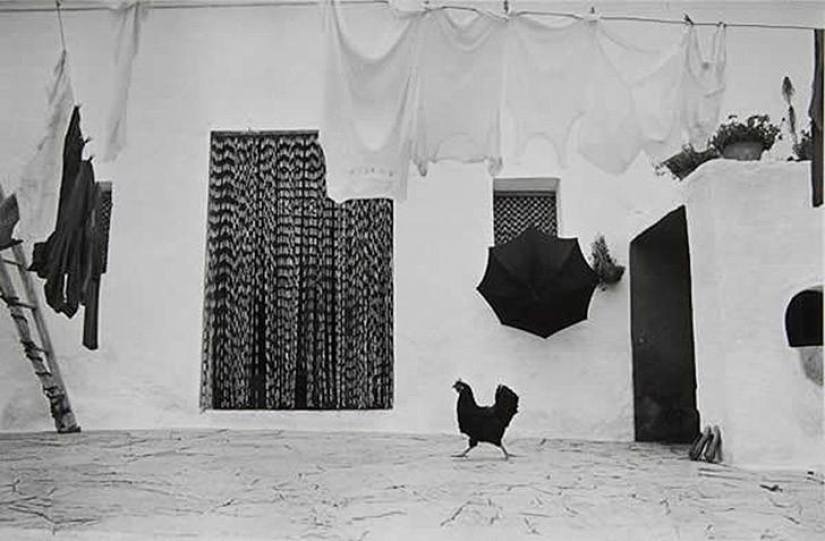 50 wonderful black-and-white images from the masters of photography 50 wonderful black-and-white images from the masters of photography