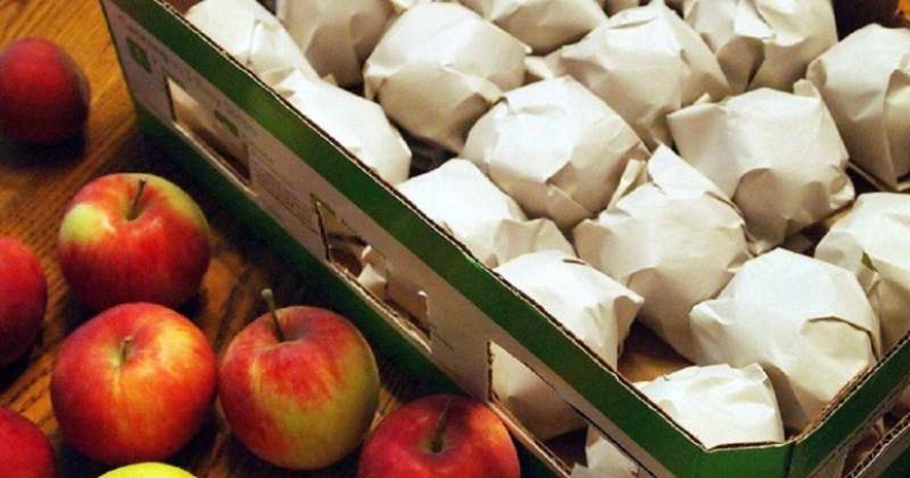 6 ancient ways to preserve apples until spring – proven for centuries 6 ancient ways to preserve apples until spring – proven for centuries