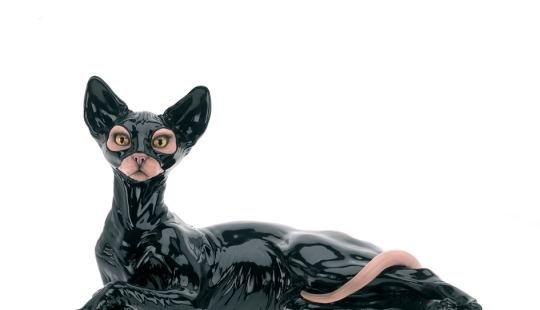 6 animales cuya vida sexual le parecerá familiar a una persona 6 animales cuya vida sexual le parecerá familiar a una persona