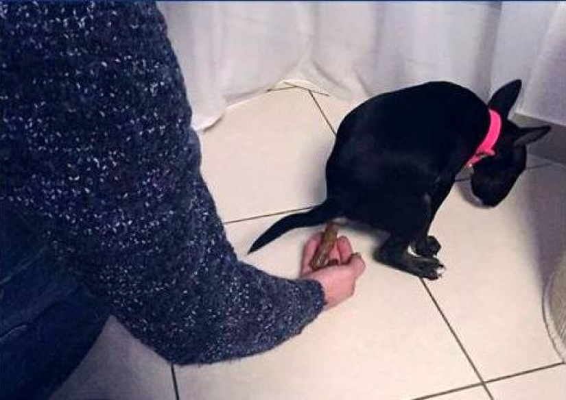 6 true German qualities that irritate our people 6 true German qualities that irritate our people