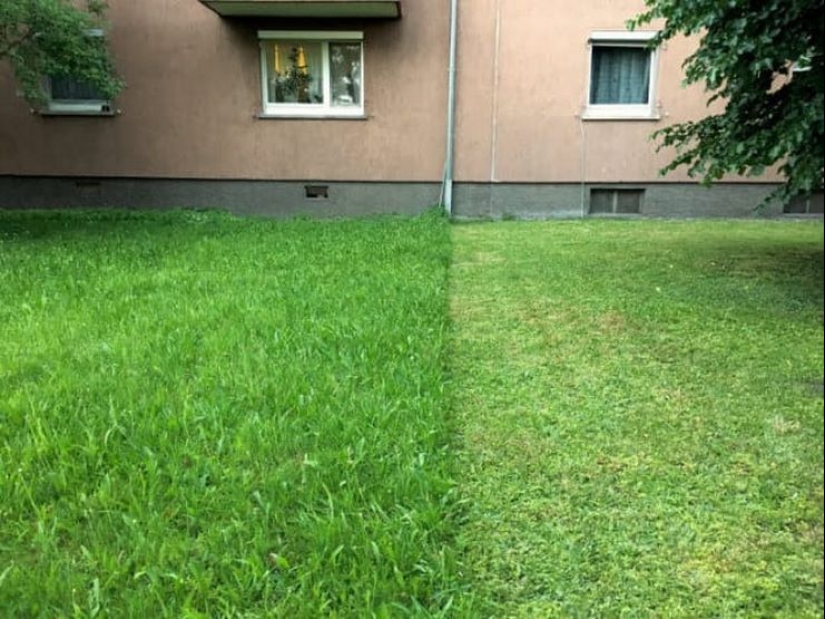 6 verdadero alemán cualidades que irritan nuestro pueblo 6 verdadero alemán cualidades que irritan nuestro pueblo