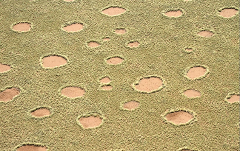 7 de los más extraños fenómenos naturales que se parecen a la brujería 7 de los más extraños fenómenos naturales que se parecen a la brujería