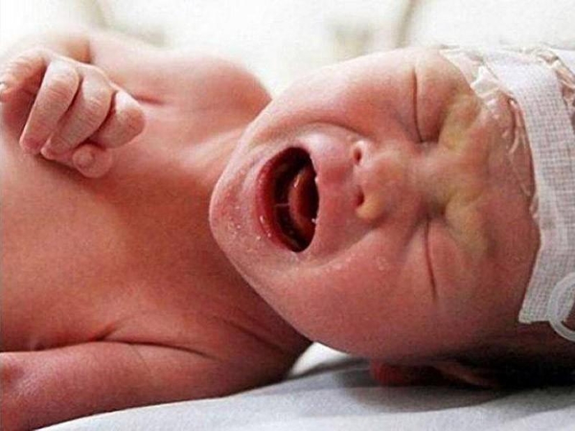 7 incredible stories of survival of babies 7 incredible stories of survival of babies