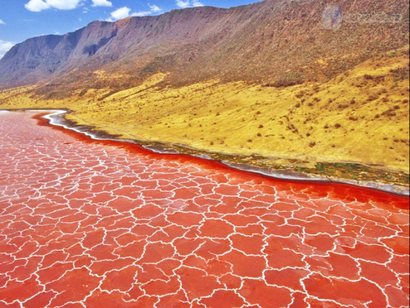 7 of the most bizarre natural phenomena that look like sorcery