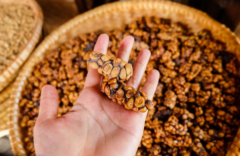 7 unique methods of brewing coffee from around the world 7 unique methods of brewing coffee from around the world