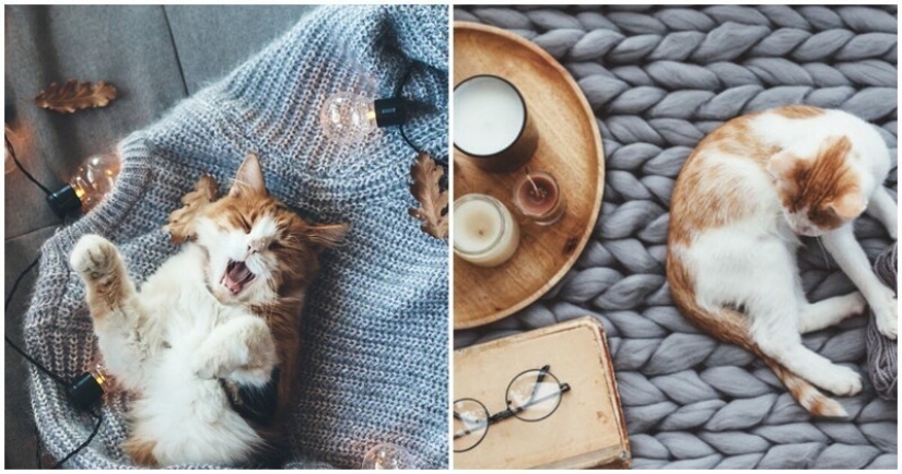 8 reglas de vida al estilo de " hugge" 8 reglas de vida al estilo de " hugge"