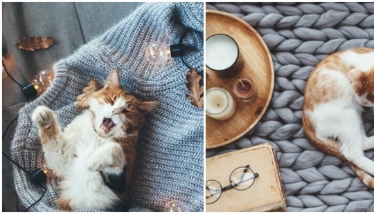 8 reglas de vida al estilo de " hugge" 8 reglas de vida al estilo de " hugge"