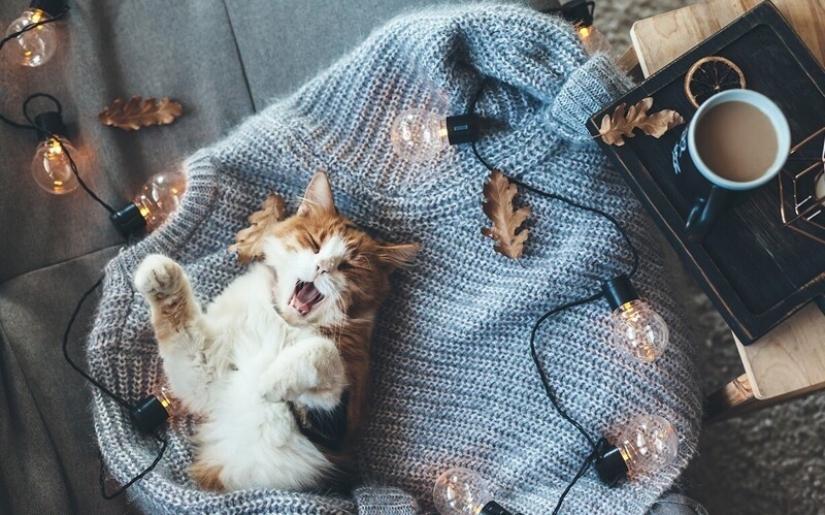 8 rules of life in the style of "hugge" 8 rules of life in the style of "hugge"