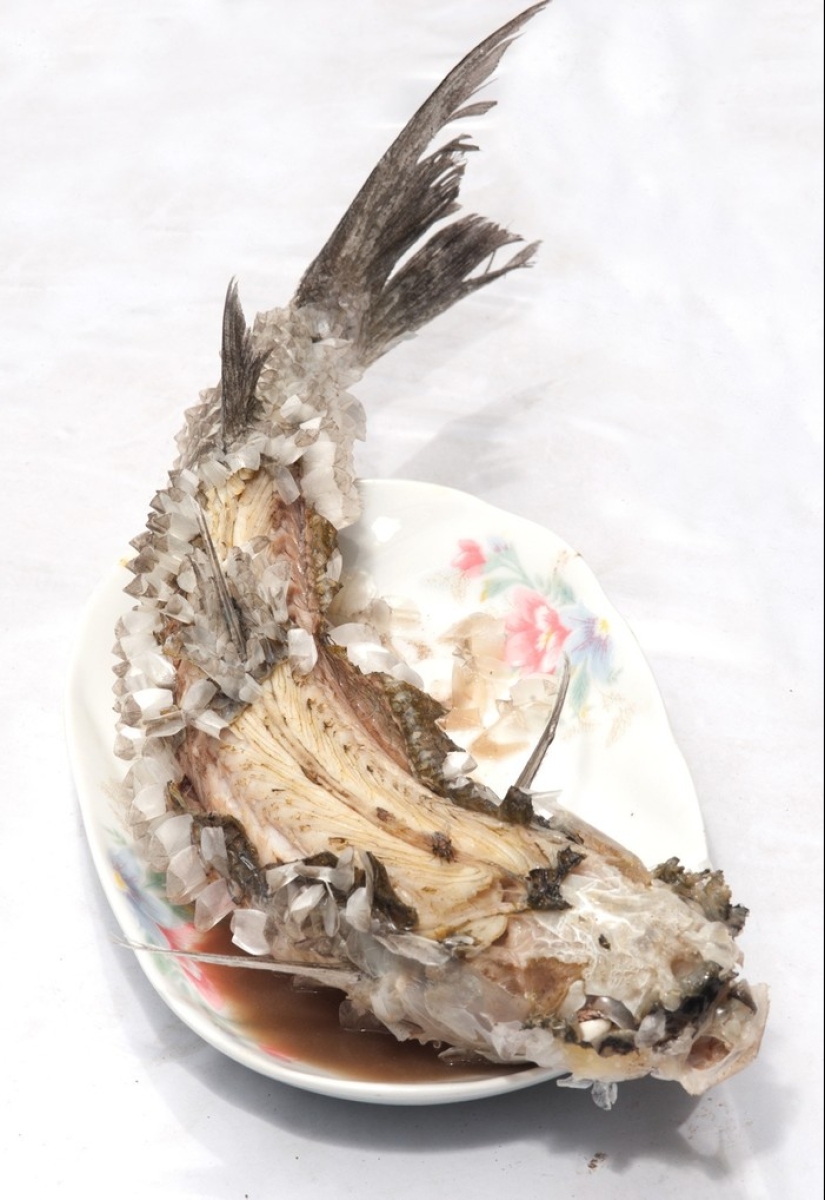 8 unique dishes from Thailand that will satisfy any gourmet 8 unique dishes from Thailand that will satisfy any gourmet